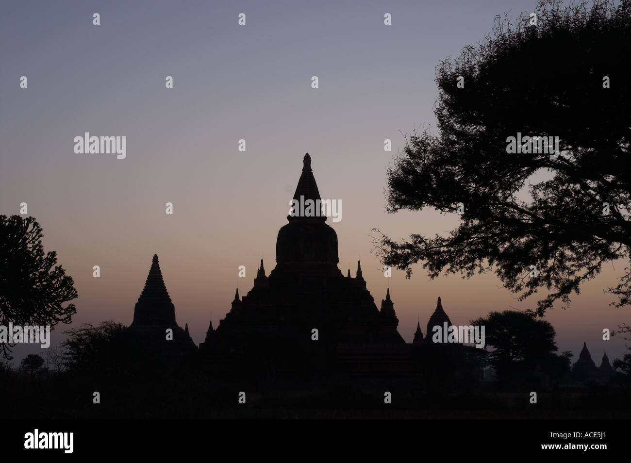 Myanmar-Burma-Bagan archäologische zone mehr als 4000 Tempel in einer Biegung des Ayeyarwady Fluss Tempels und Baum Silhouette an Stockfoto