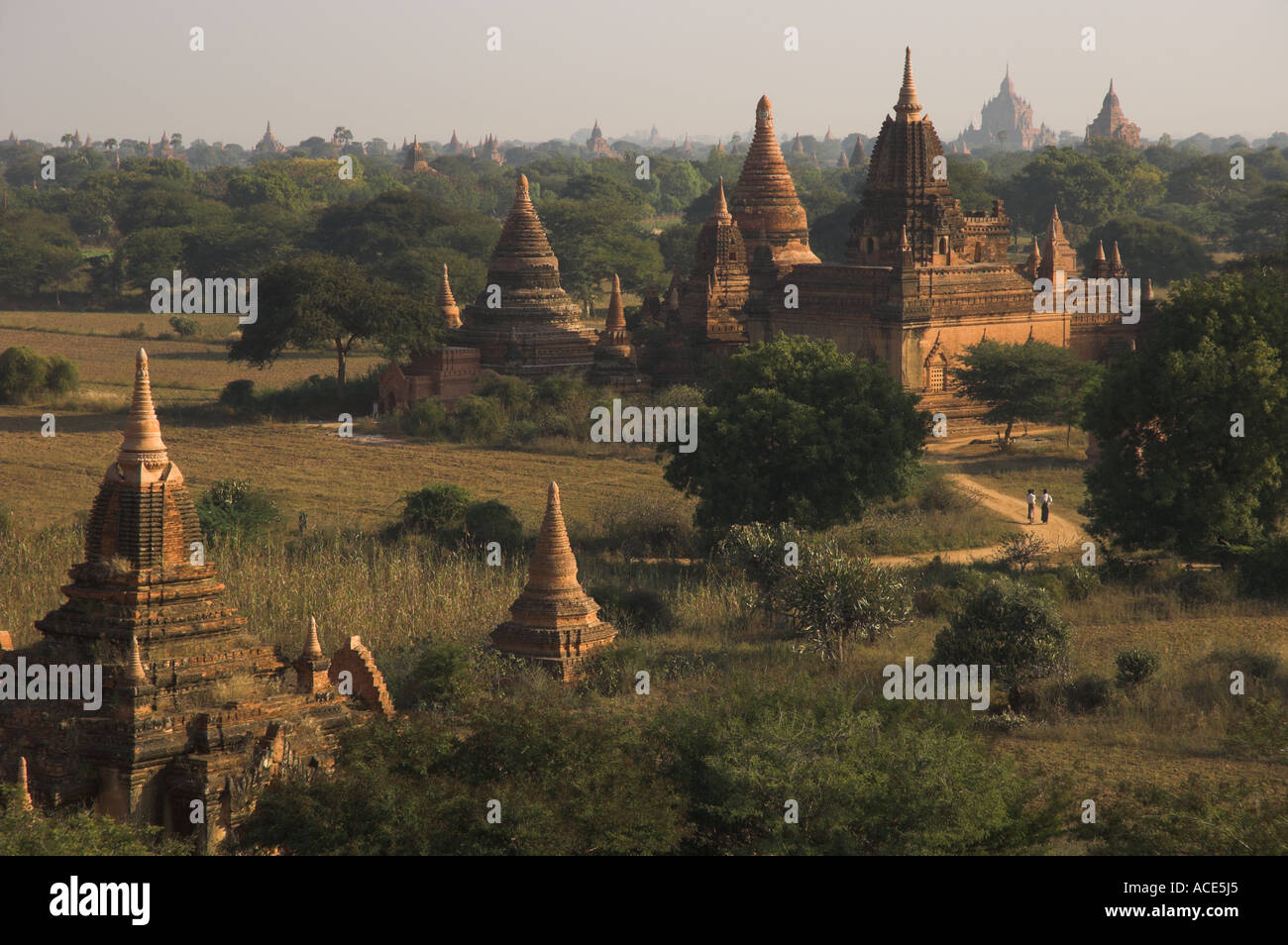 Myanmar-Burma-Bagan archäologische Zone mehr als 4000 Tempel in einer Biegung des Flusses Ayeyarwady erhöhte Ansicht der Tempel von Sh Stockfoto