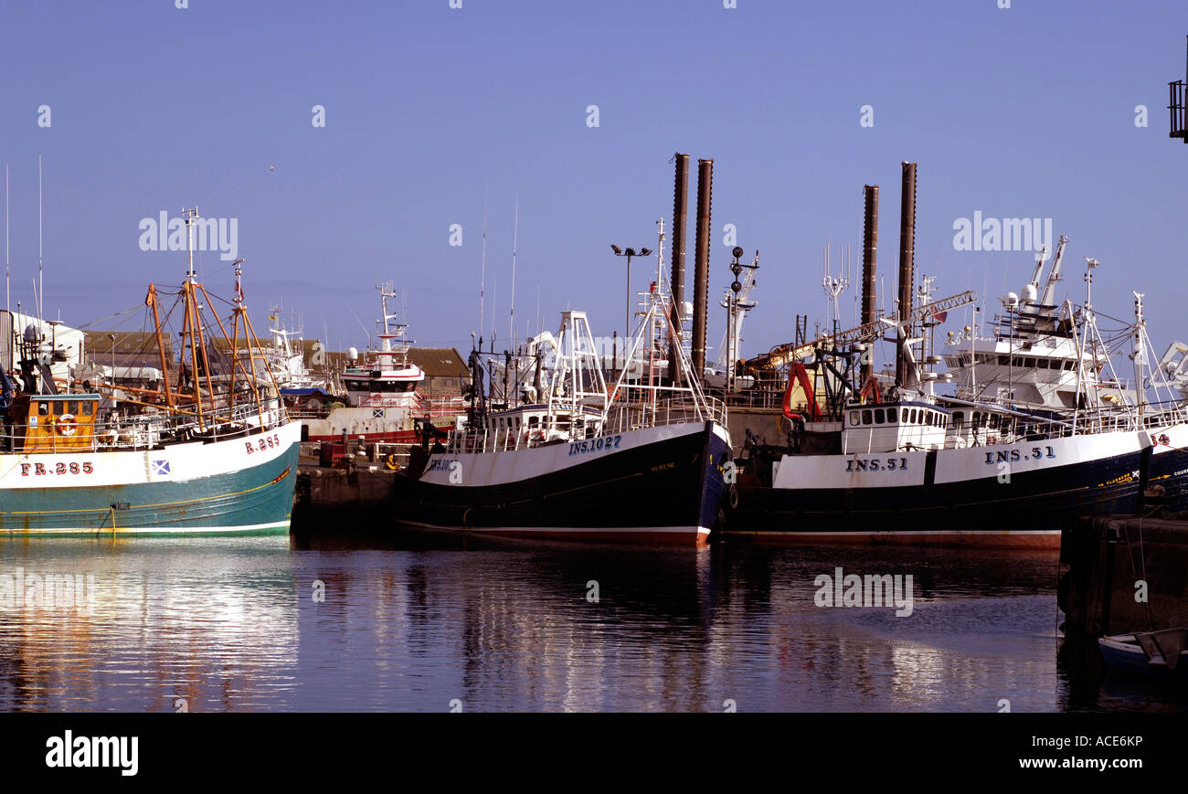 industriellen Fischkuttern Line-up in Fraserburgh Hafen, Aberdeenshire, Schottland 2. größte Fischereihafen Stockfoto