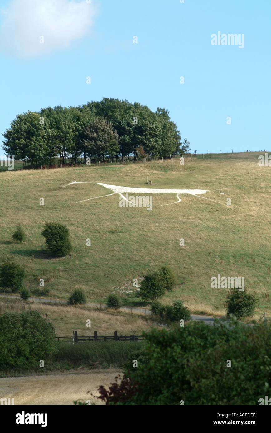 Das Hackpen White Horse Wahrzeichen in Wiltshire, England, Vereinigtes Königreich UK Stockfoto