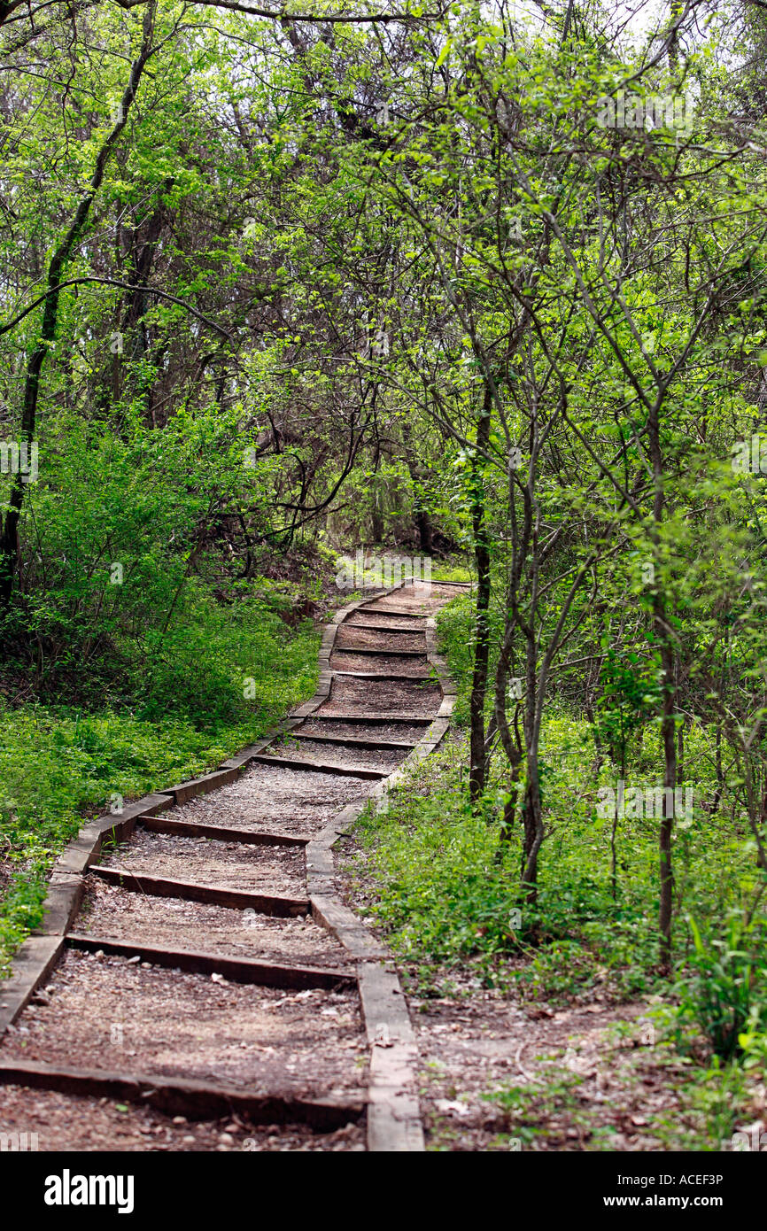 Fußweg durch Waldweg Texas Stockfoto