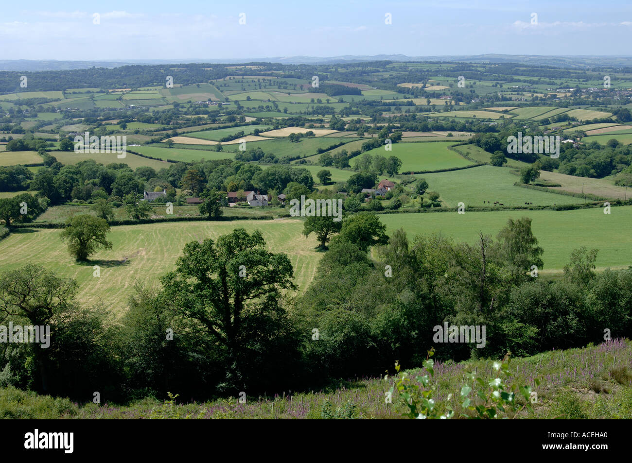 Blick auf East Devon Ackerland im Sommer mit kleinen Feldern Bäume, Häuser und Höfe Stockfoto
