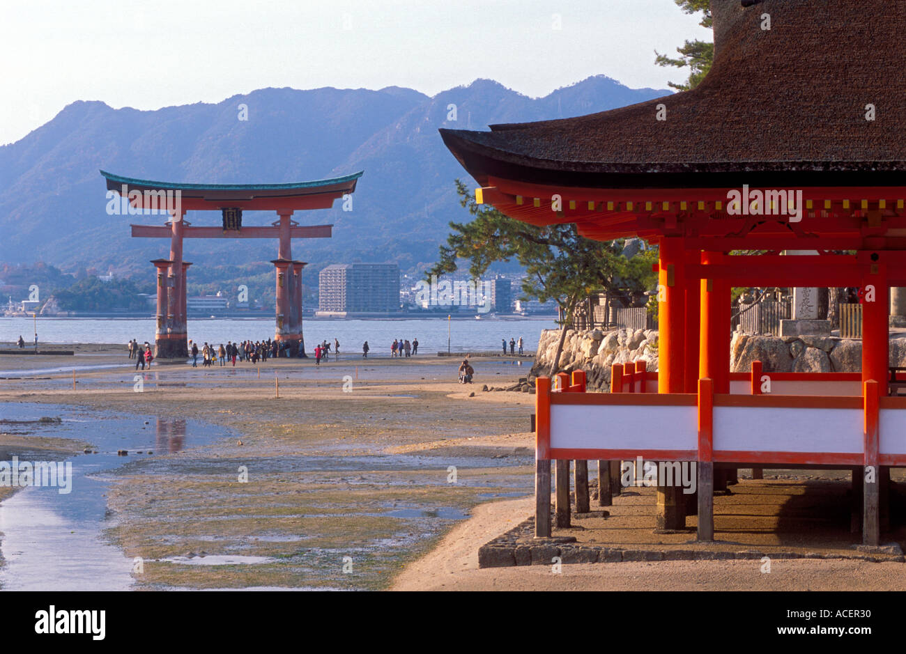 Blick auf das berühmte riesige schwimmende Shinto-Torii-Tor am Itsukushima Jinja-Schrein auf der Insel Miyajima in der Nähe von Hiroshima, Japan. Stockfoto
