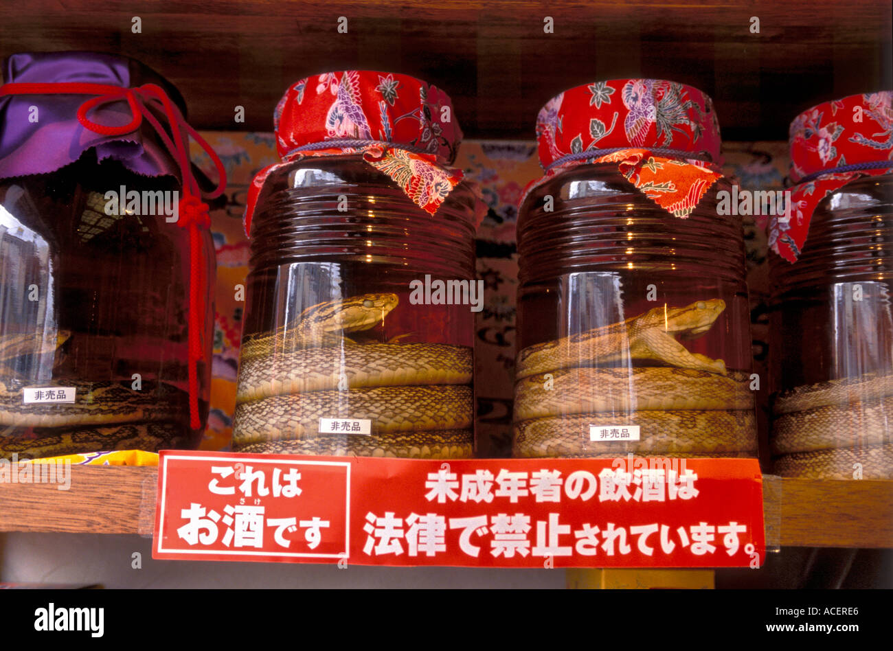 Die lokalen Okinawan alkoholisches Getränk namens Habusake mit Schlange in Gläser Stockfoto