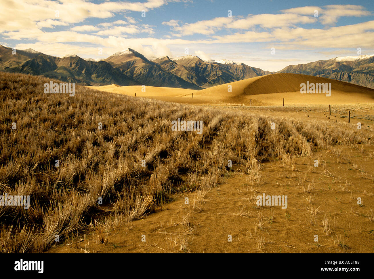 Yarlung Zangbo Tal Tibet China Stroh gepflanzt, um die Wüste Erosion stoppen Stockfoto