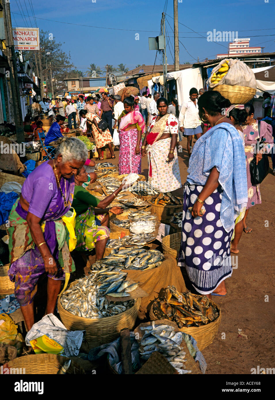 Indien Goa nördlichen Mapusa Fisch Teil des Wochenmarktes Stockfoto