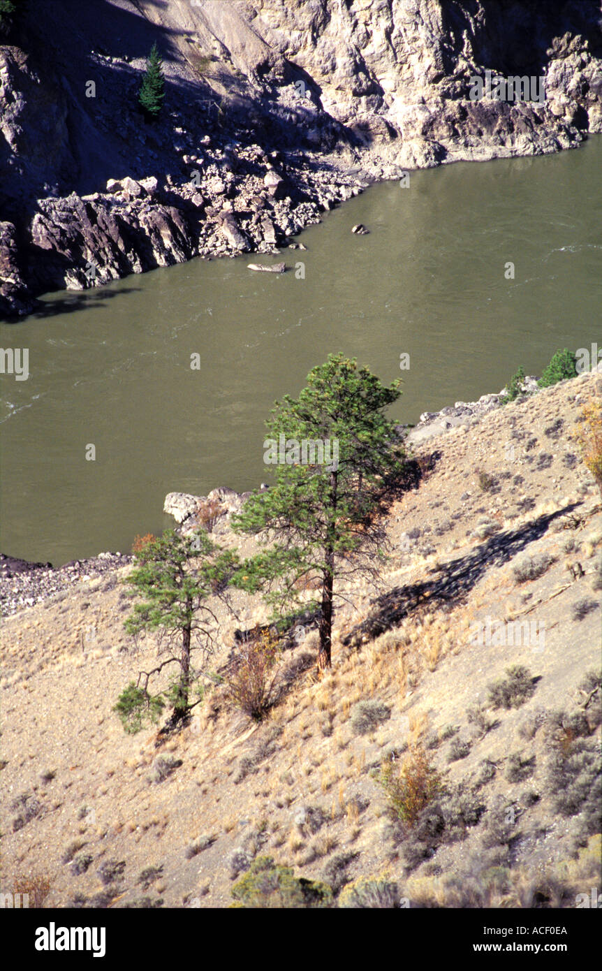 Fraser Canyon in der Nähe von Lillooet Britisch Kolumbien Kanada Stockfoto