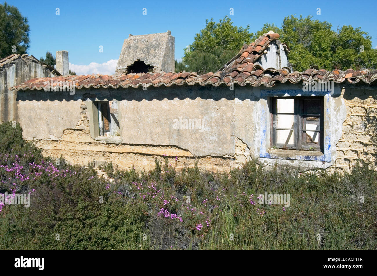 Ruine Alentejo Portugal Stockfoto