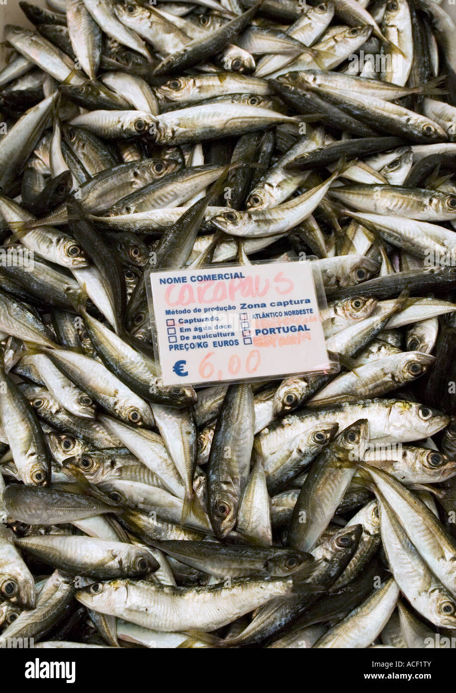 Fisch stall Alentejo Portugal Stockfoto