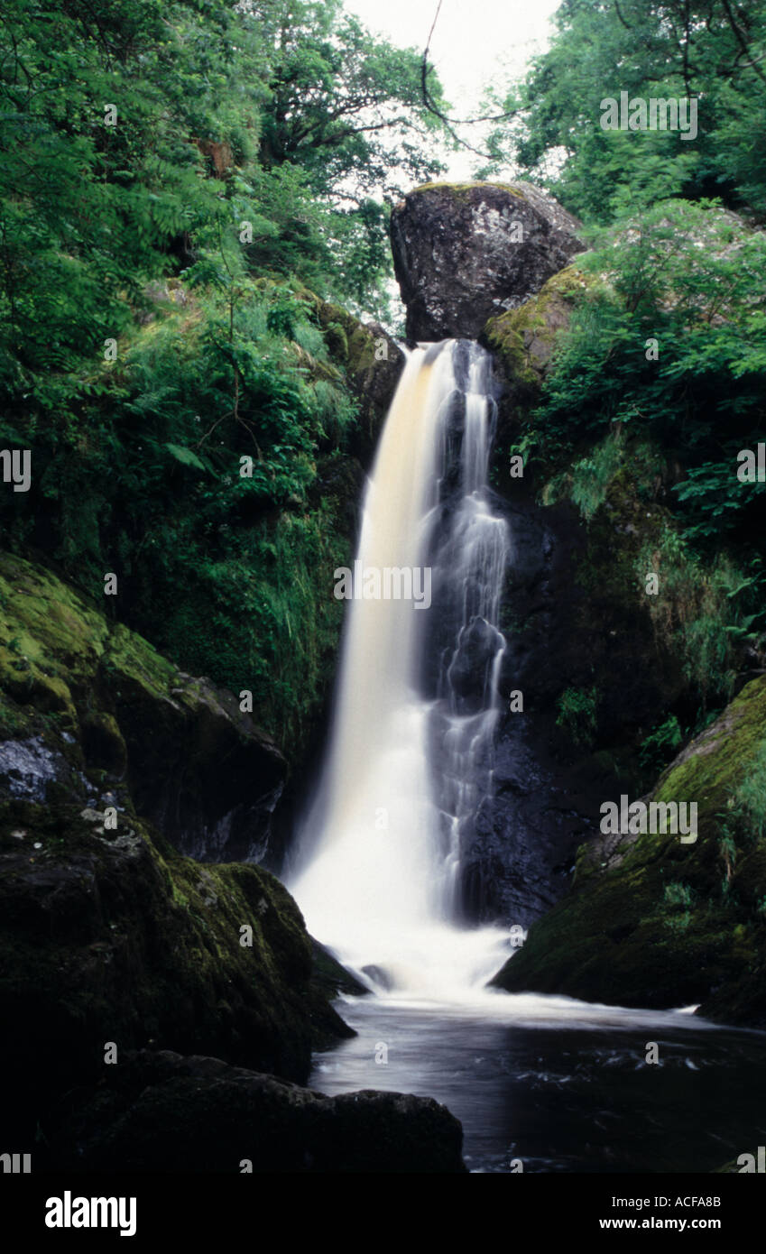 Wasserfall Devils Glen Ashford Co Wicklow Irland Stockfoto