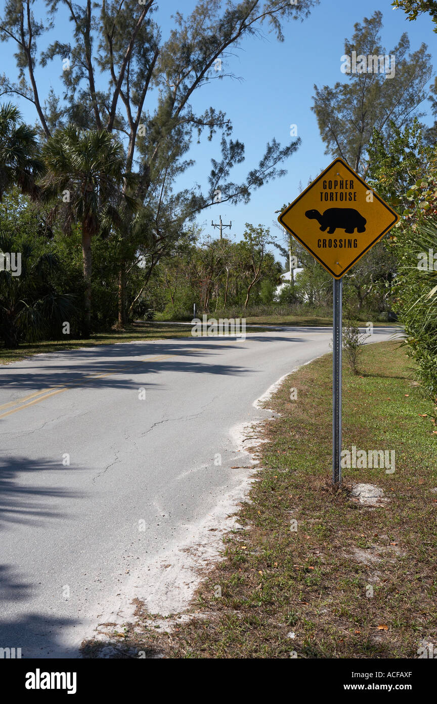 Gopher Schildkröte anmelden Dunlop Road, Sanibel Island, Florida, Vereinigte Staaten von Amerika, usa Stockfoto