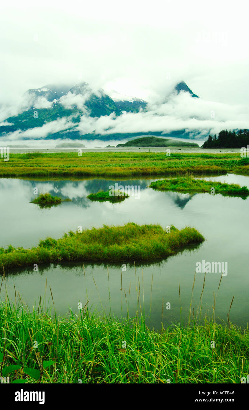 Die Feuchtgebiete und küstennahen Sümpfen in der Nähe von Valdez, Alaska, USA. Stockfoto