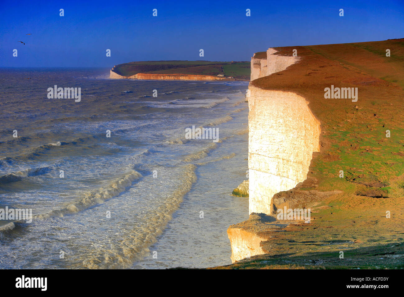 Blick entlang der Kreide Klippen, South Downs Way, 7 Schwestern Klippen, Seaford Kopf, Sussex, England, Großbritannien, UK Stockfoto