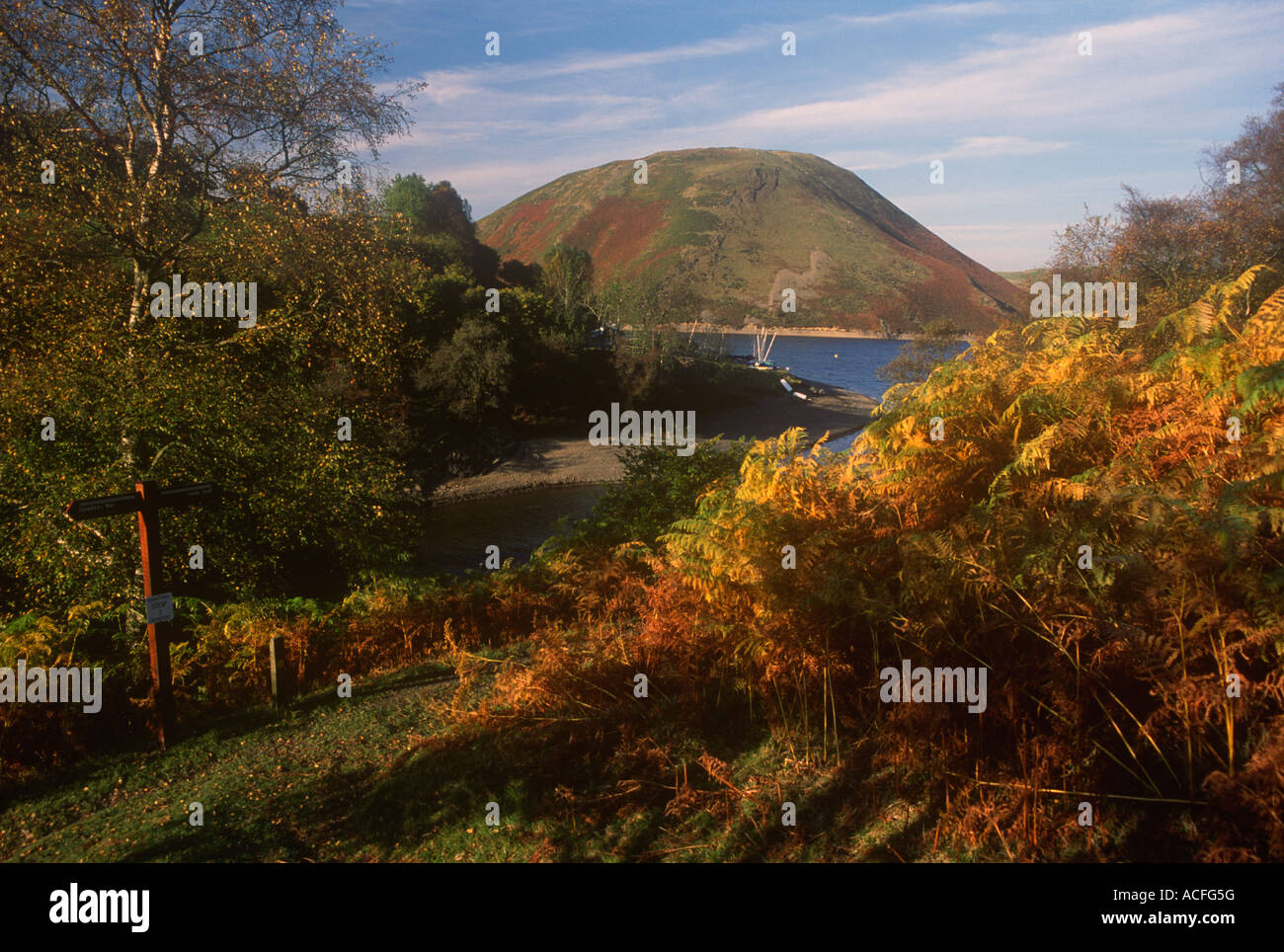 Powys Tal Glyndwr Weg in der Nähe von Llyn Clywedog Pfad Glyndwr, See Vrynwy Stockfoto