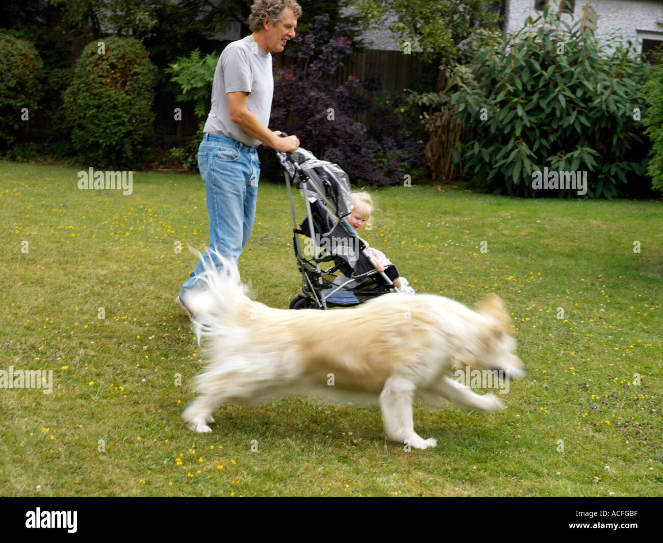 Grossvater Enkelin Hund Spaß im Garten in Surrey England Stockfoto