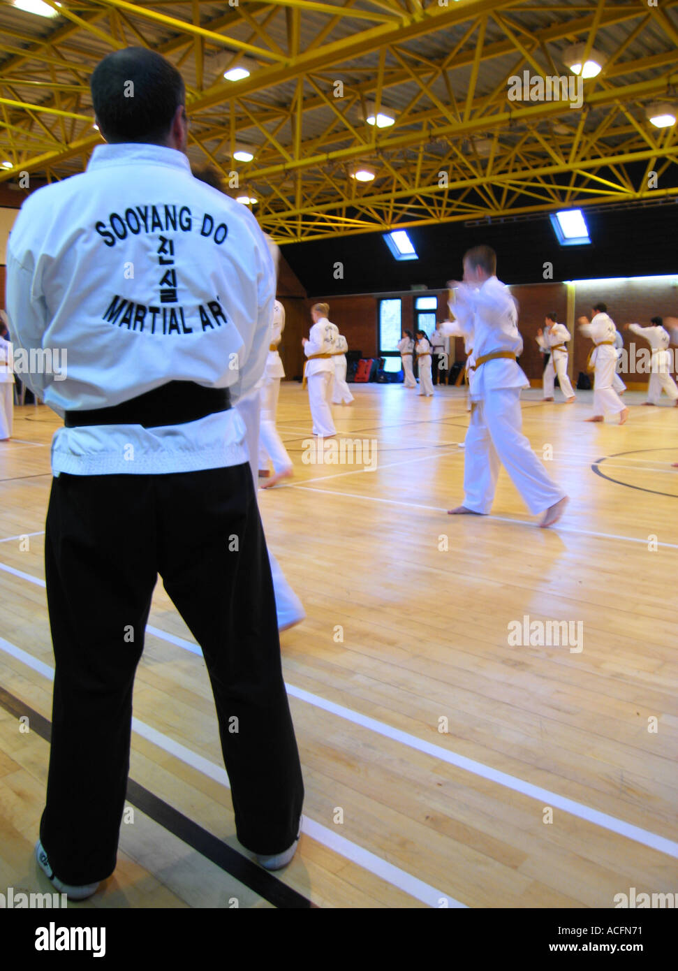 Portraitbild einer Verschneidung Zeremonie für Sooyang tun Martial arts Stockfoto