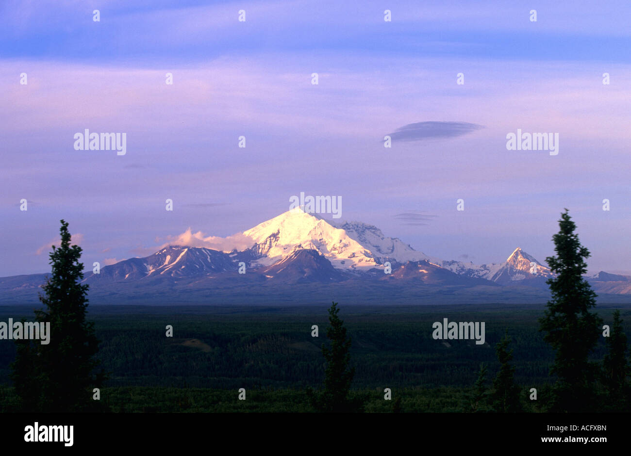 Mount Drum Alaska USA Stockfoto