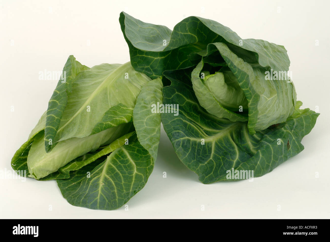 Pflanzliche Produkte typischen Supermarkt gekauft spitz Kohl Stockfoto