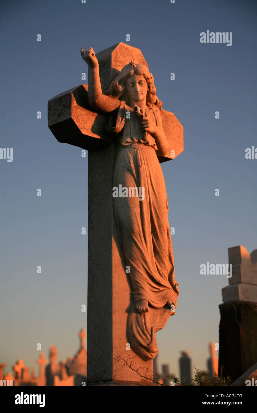 Eine steinerne Engel Grabstein auf dem Waverley Cemetery Sydney Australia Stockfoto