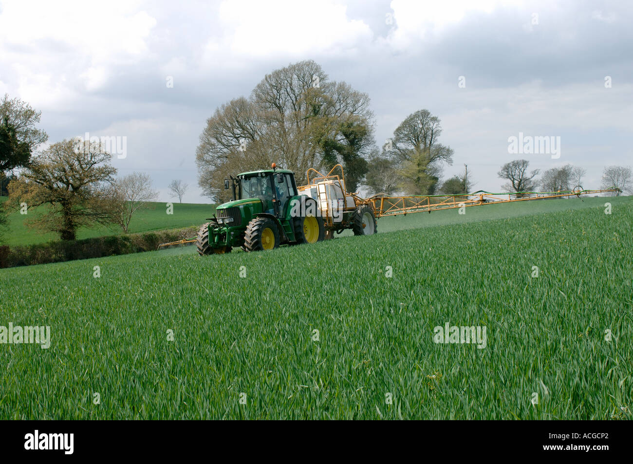 Traktor und gezogene Spritze Spritzen jungen Hafer Ernte im Frühjahr Stockfoto