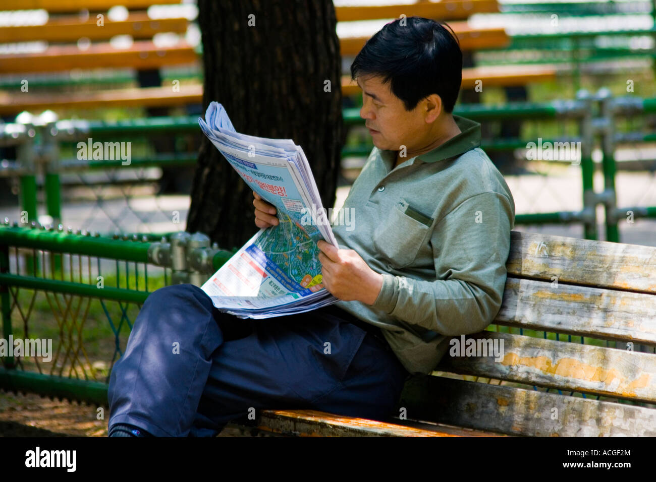 Koreanische Mann liest eine Zeitung Namsan Park Seoul Südkorea Stockfoto