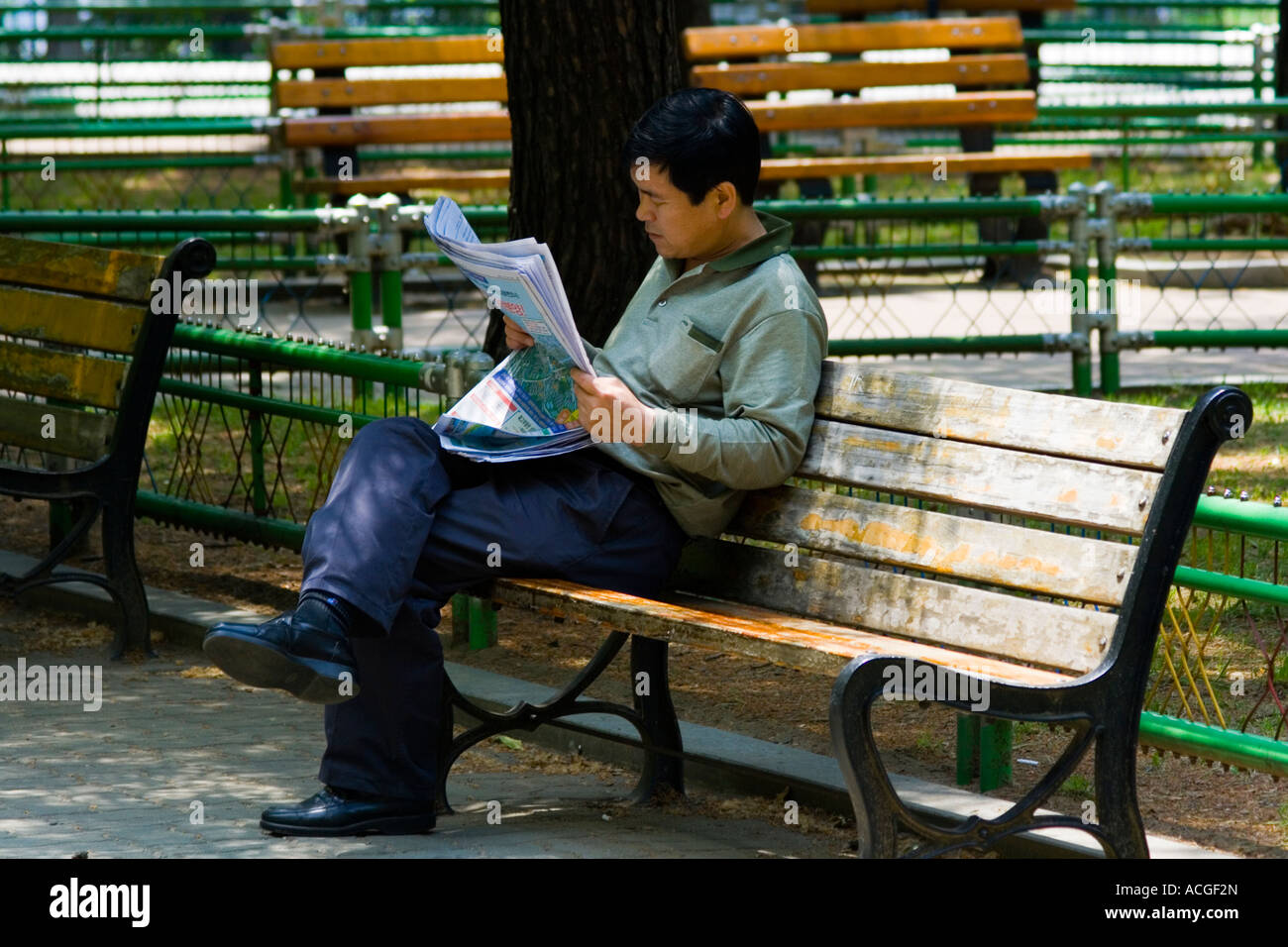 Koreanische Mann liest eine Zeitung Namsan Park Seoul Südkorea Stockfoto