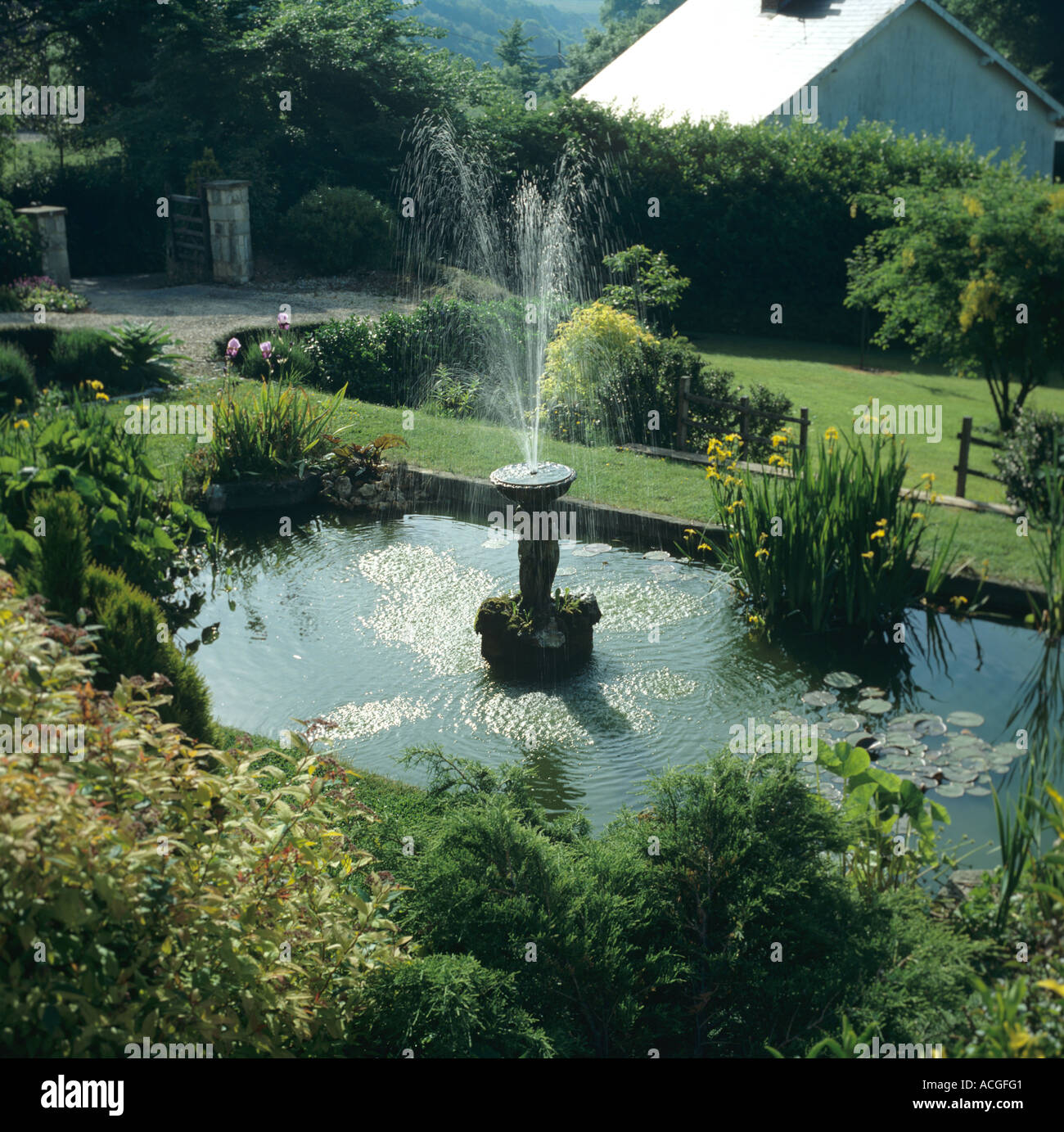 Gartenteich Und Brunnen Mit Beleuchteten Brunnen Spray Und Vegetation Im Sommer Stockfotografie Alamy