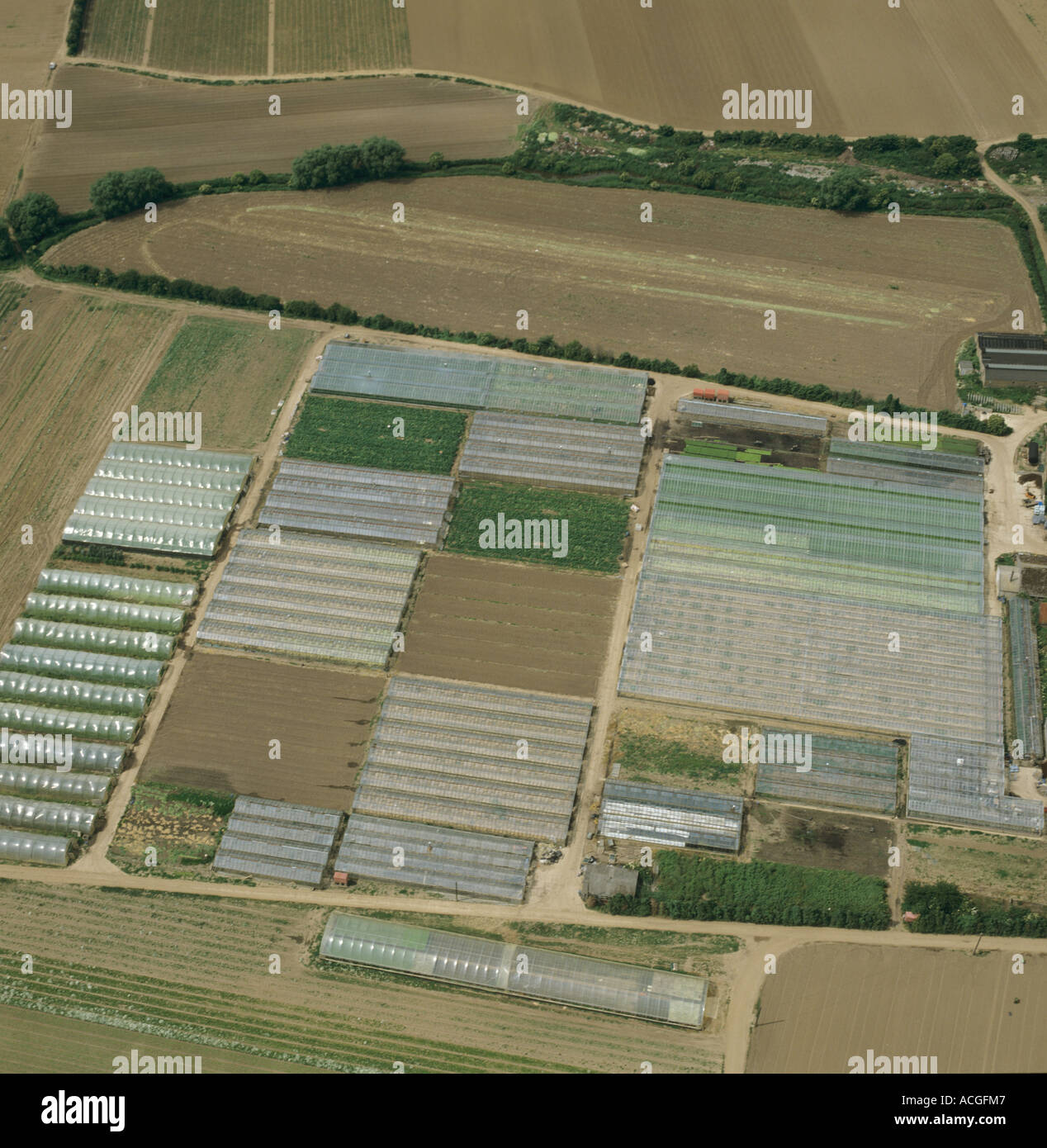 Luftaufnahme der Gärtnerei Gemüseanbau mit Polyethylen-Tunnel und Gewächshäuser Stockfoto