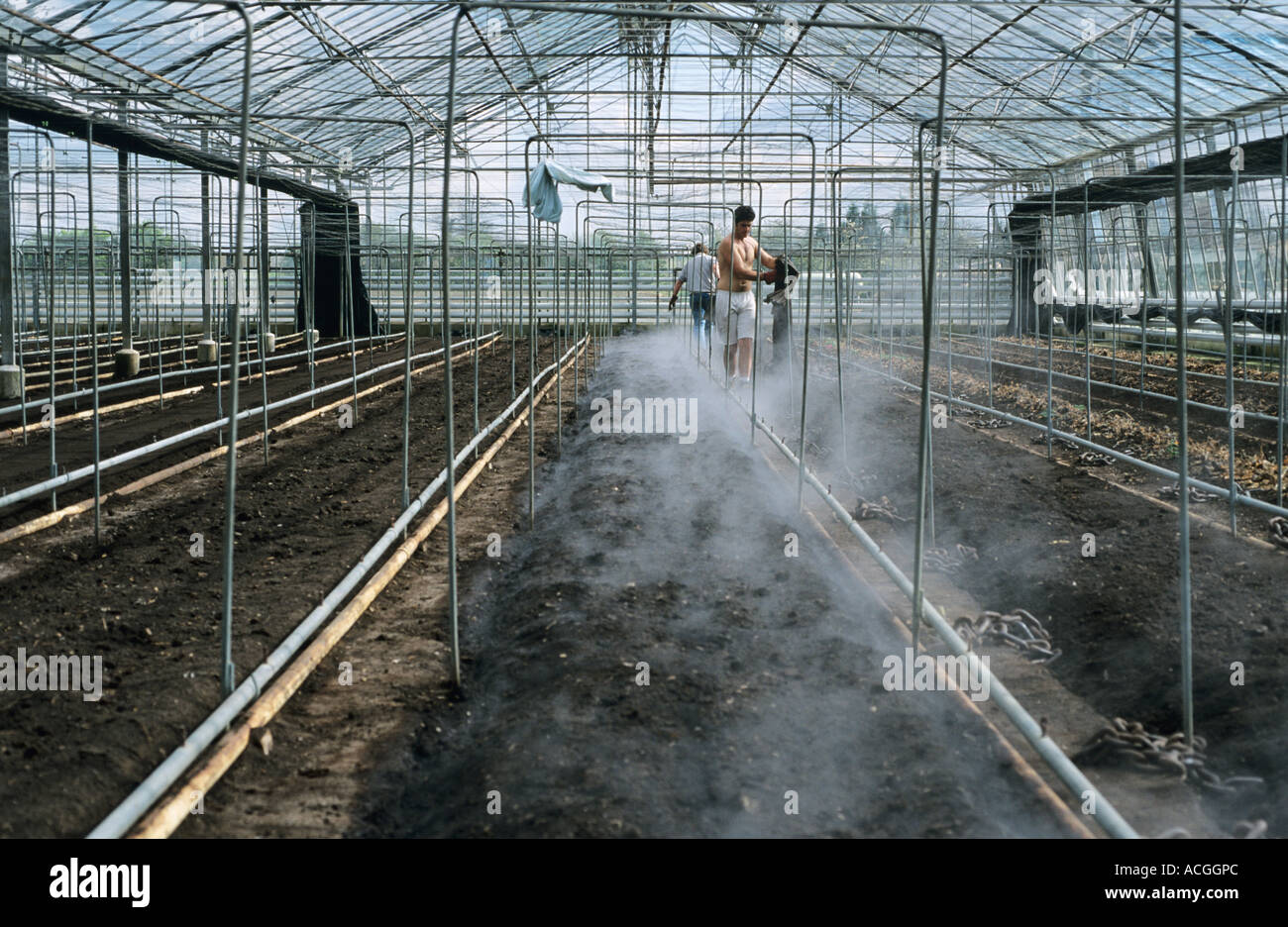 Dampf-Sterilisation Gewächshaus Boden vor der Aussaat einer neuen Pflanze Stockfoto