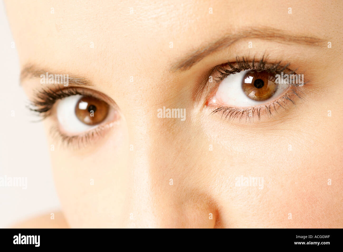 Braune Augen Stockfotos und bilder Kaufen Alamy