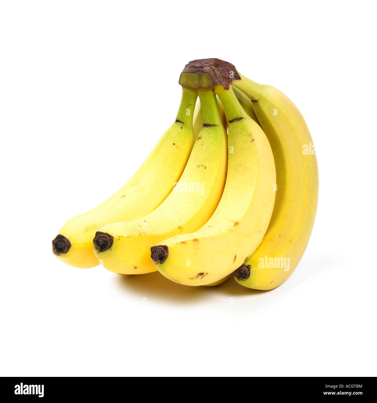 eine frische reife Bündel Bananen auf einem weißen Hintergrund Stockfoto