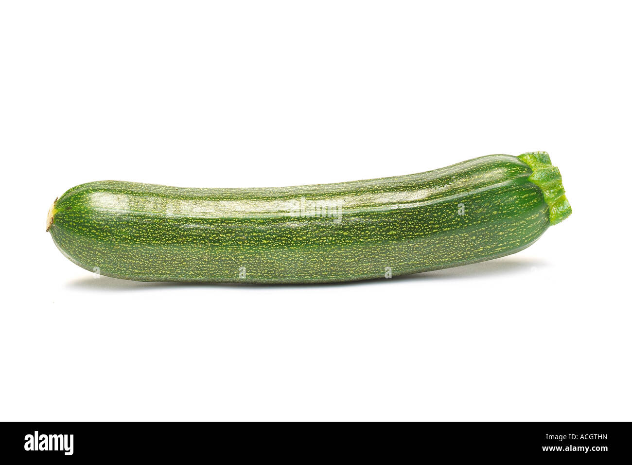 Eine frische reife grüne ganze Zucchini auf weißem Hintergrund Stockfoto