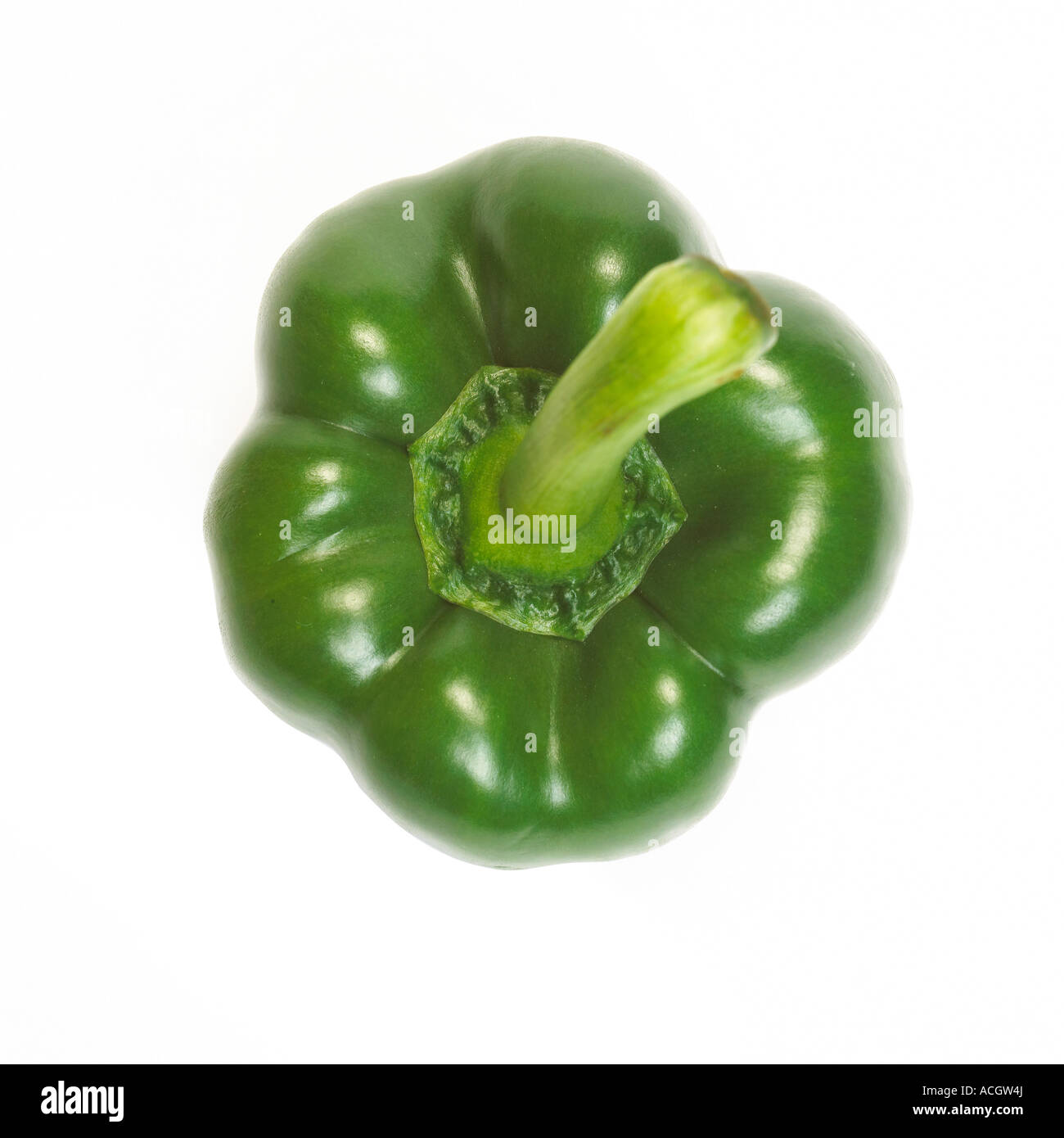 Eine frische reife grüne Paprika Blick von oben auf einen weißen Hintergrund Stockfoto
