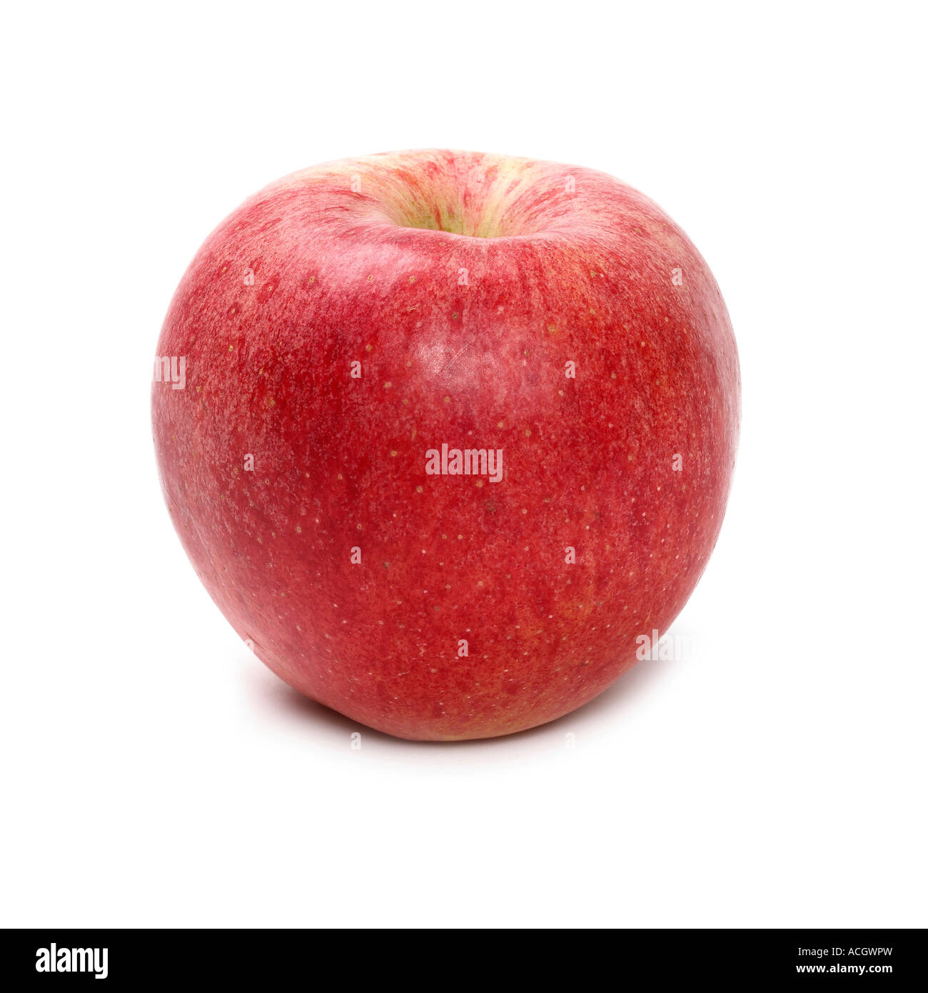 Ein frische reife leuchtend roter Apfel auf weißem Hintergrund Stockfoto
