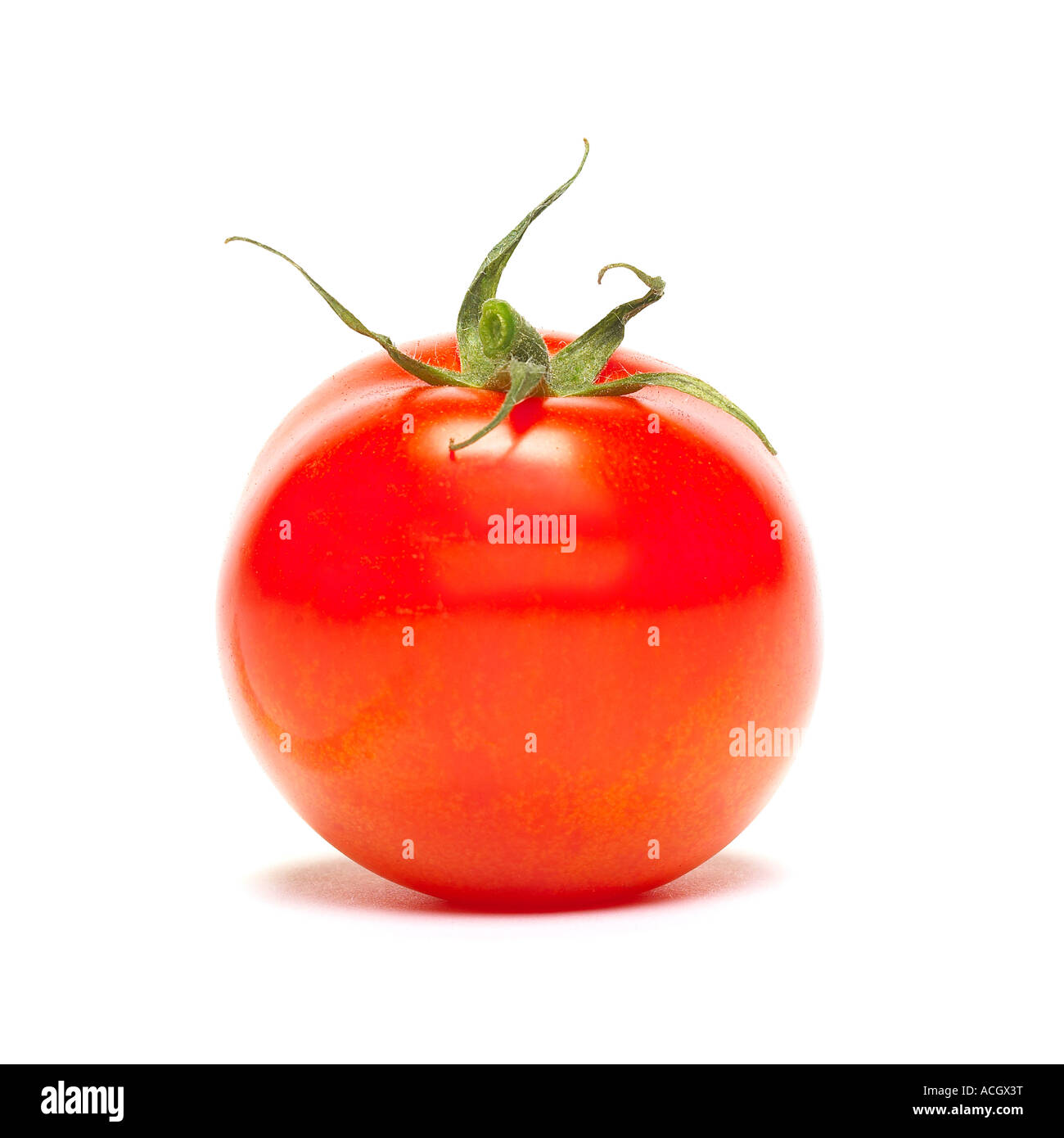 Eine Seitenansicht der eine frische reife rote Tomate Stockfoto