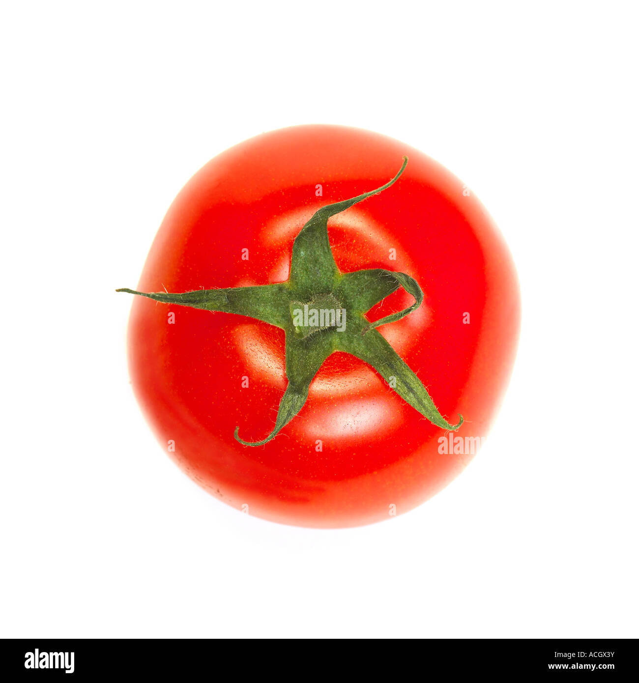 Ein oben Blick auf eine frische reife rote Tomate Stockfoto
