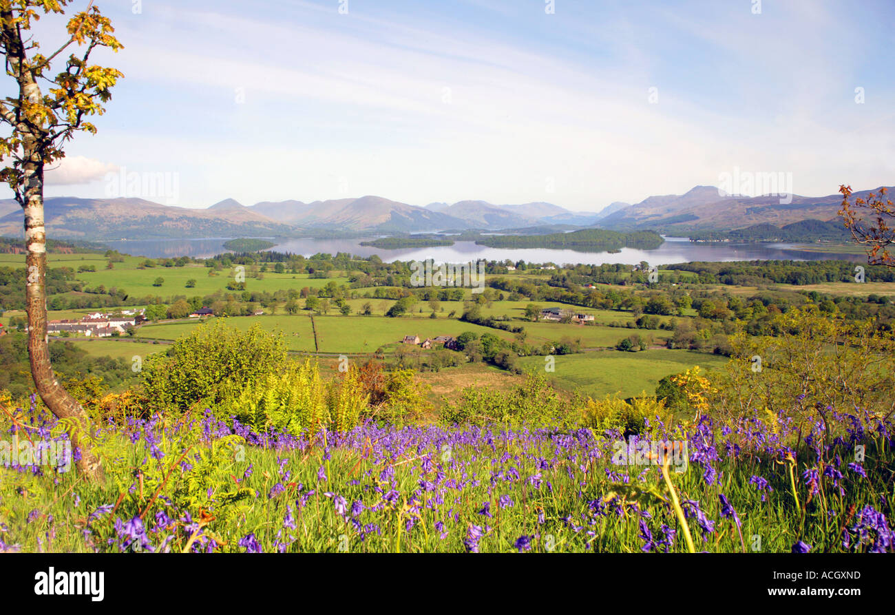 BONNIE BONNIE UFER DES LOCH LOMOND, SCHOTTLAND, VEREINIGTES KÖNIGREICH Stockfoto