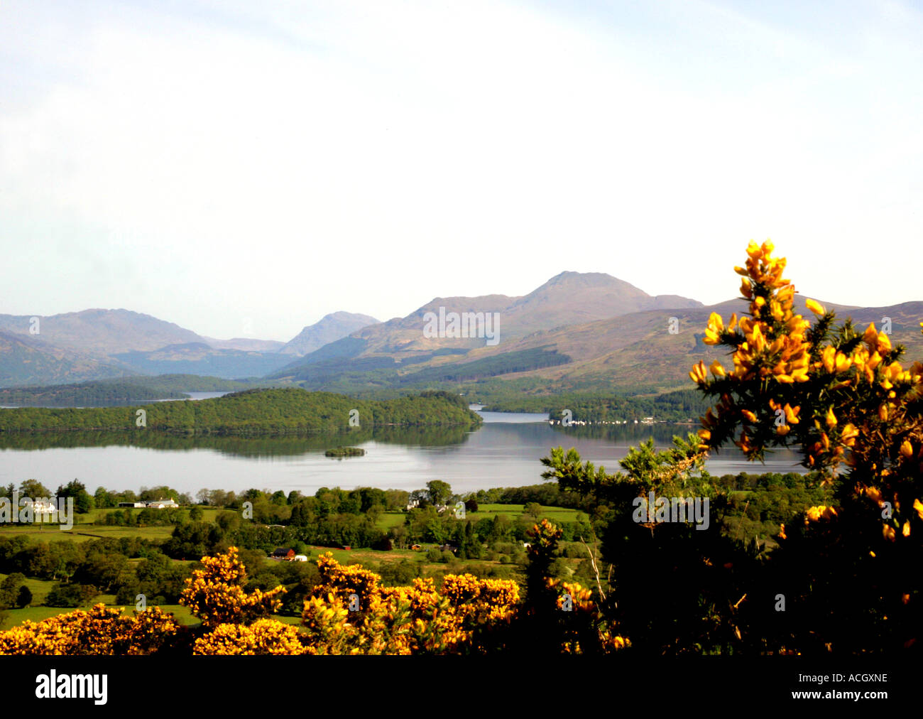 BONNIE BONNIE UFER DES LOCH LOMOND, SCHOTTLAND, VEREINIGTES KÖNIGREICH Stockfoto