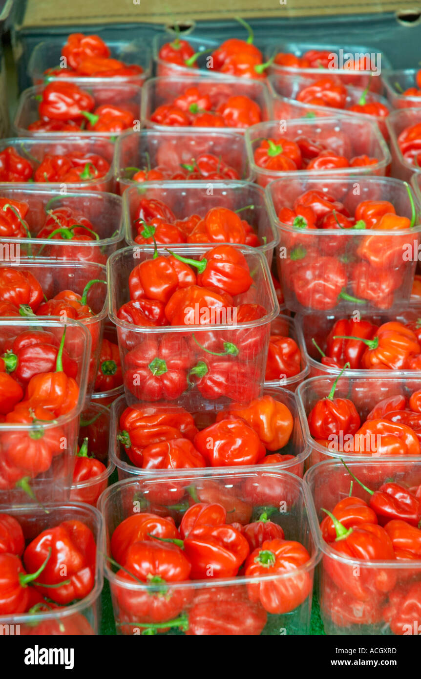 Paprika auf Queens-Markt in East London UK Stockfoto