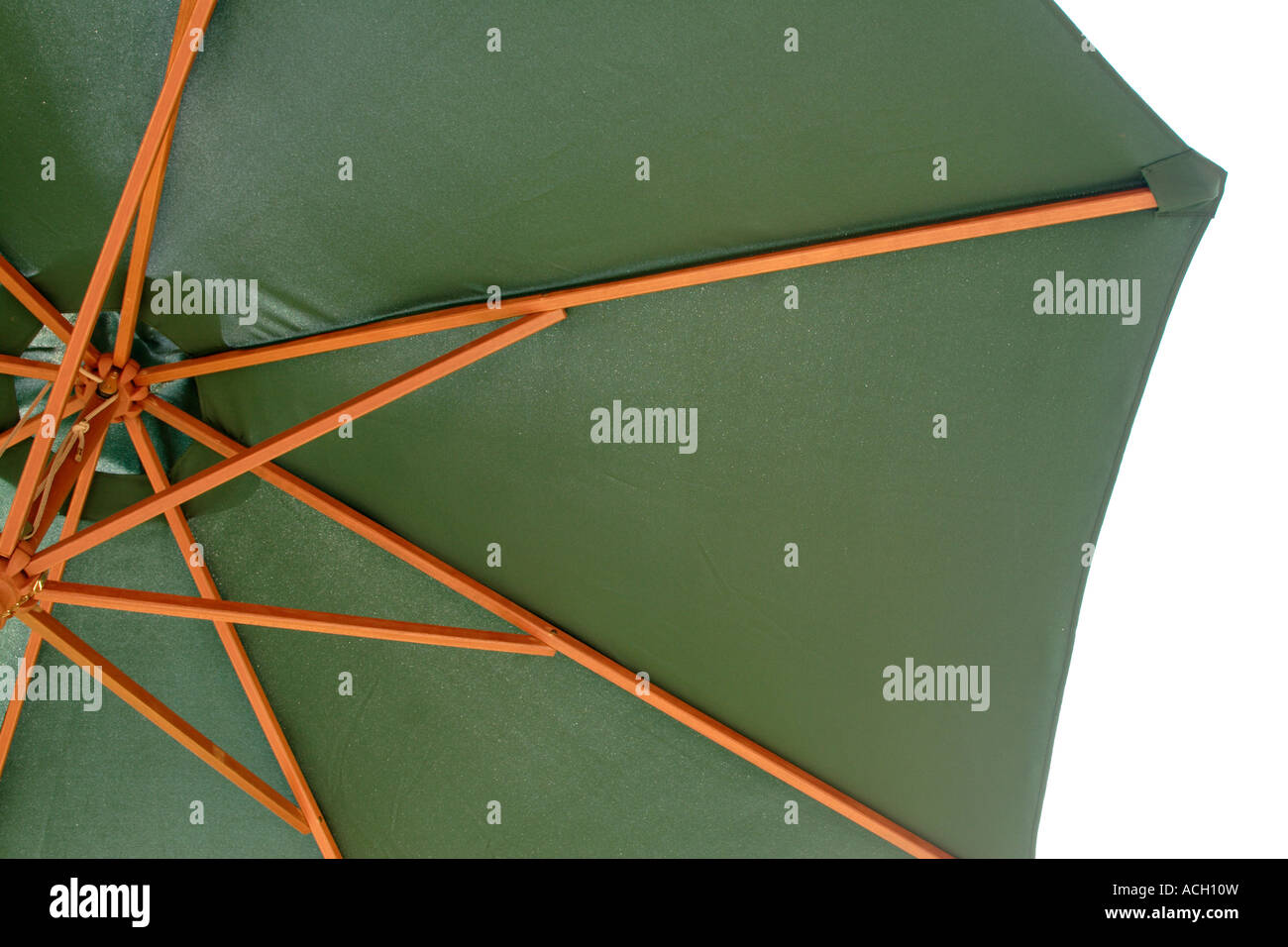 Garten Sonnenschutz hautnah Stockfoto