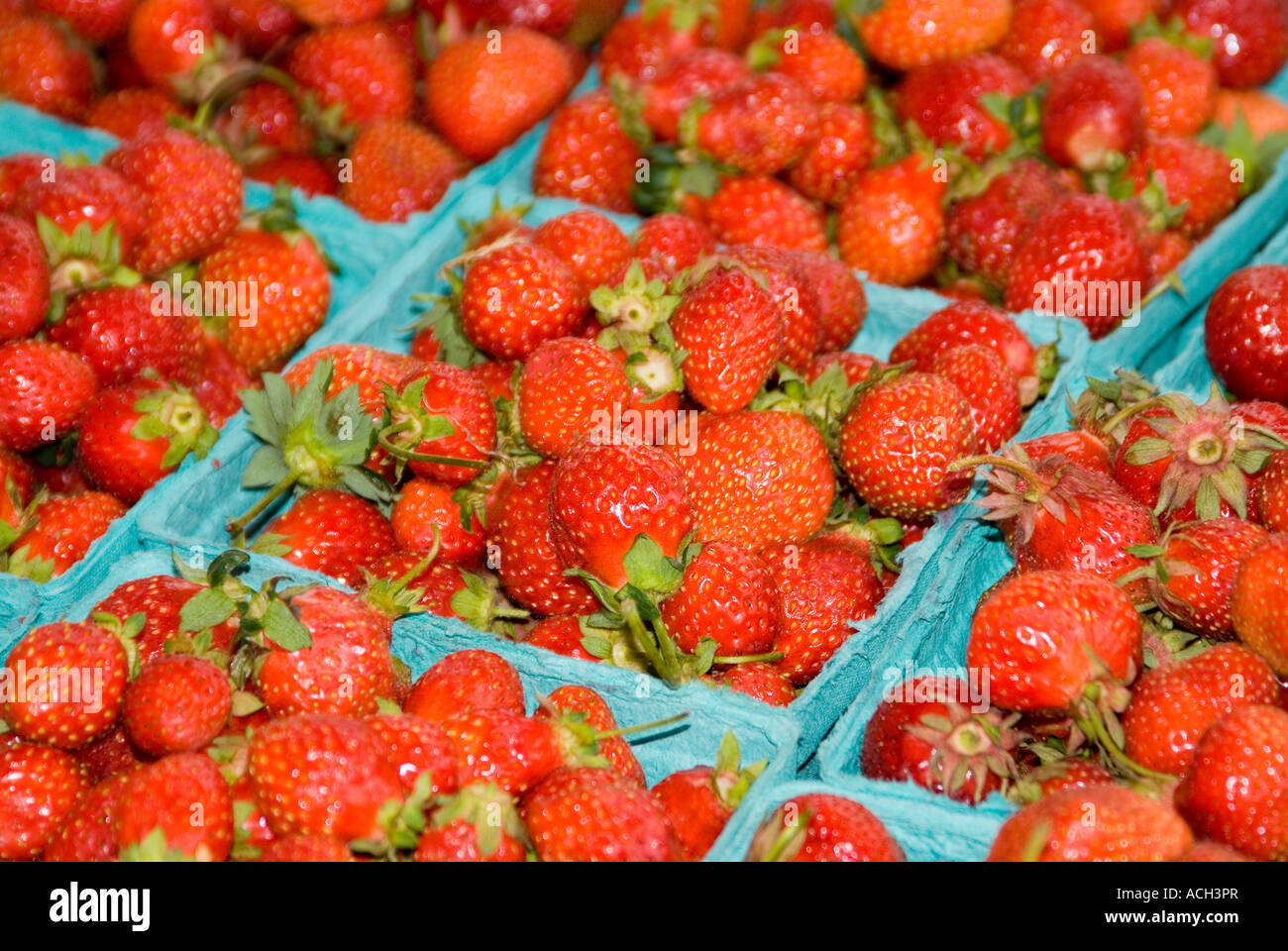 Frischmarkt Erdbeeren Stockfoto
