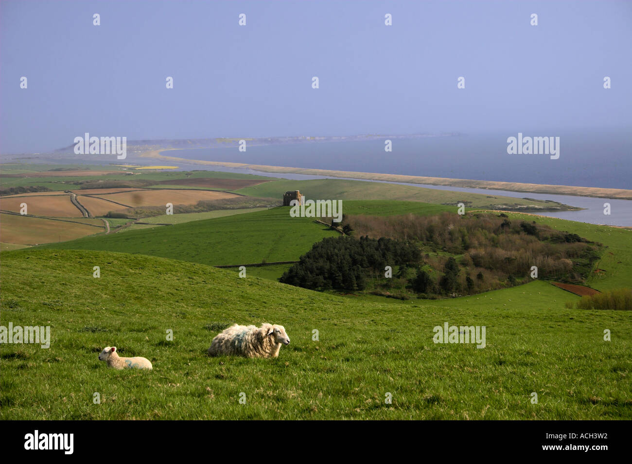 15.Jh. St Catherine s Kapelle in Abbotsbury Nr Weymouth Dorset mit Portland Bill und Chessel Strand Stockfoto