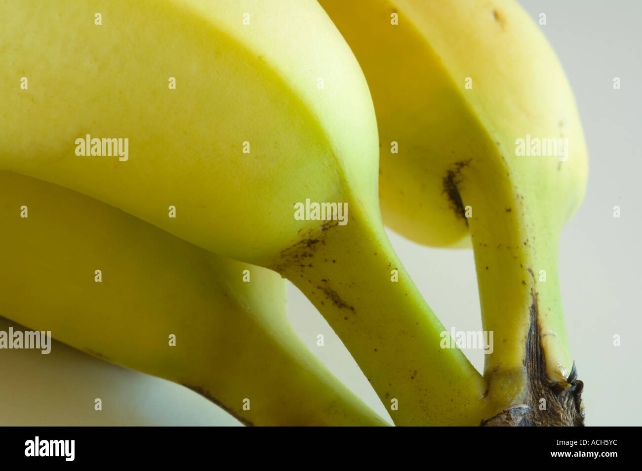 Nahaufnahme von Bananen Stockfoto