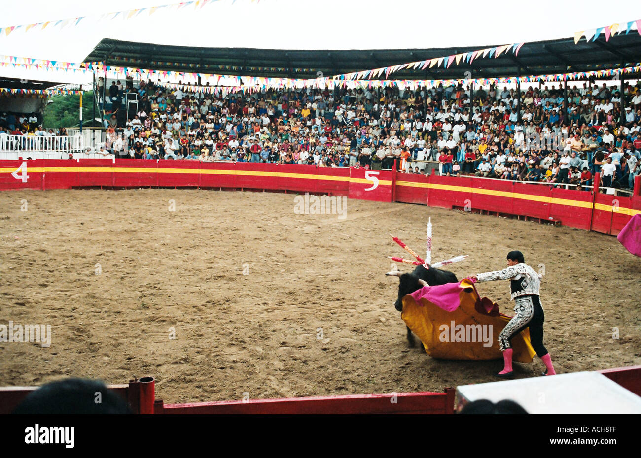 Stierkampf Tena Ecuador Südamerika Stockfoto