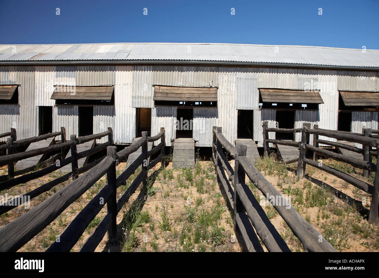 Historische Kinchega Woolshed Kinchega Nationalpark Outback New South Wales Australien Stockfoto