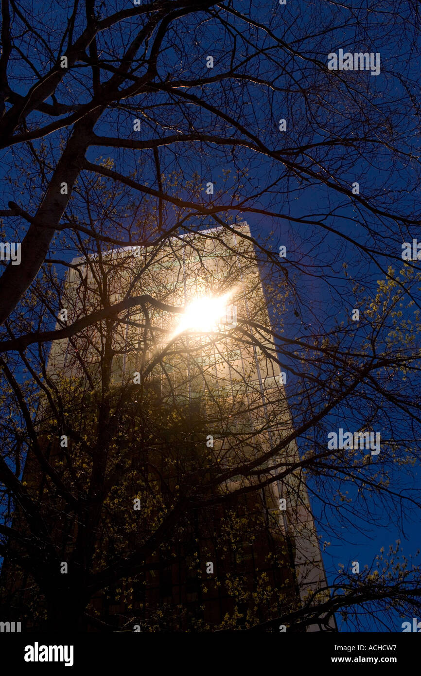 Bürogebäude, Big Business-Konzepte. Beschäftigung. New Haven Connecticut USA Stockfoto