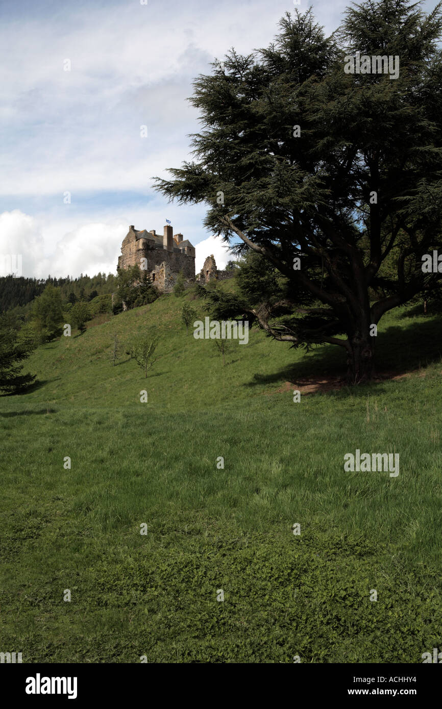 Neidpath CastleNeidPath Castle in Peebles, Schottland vom Fluss Tweed. Stockfoto