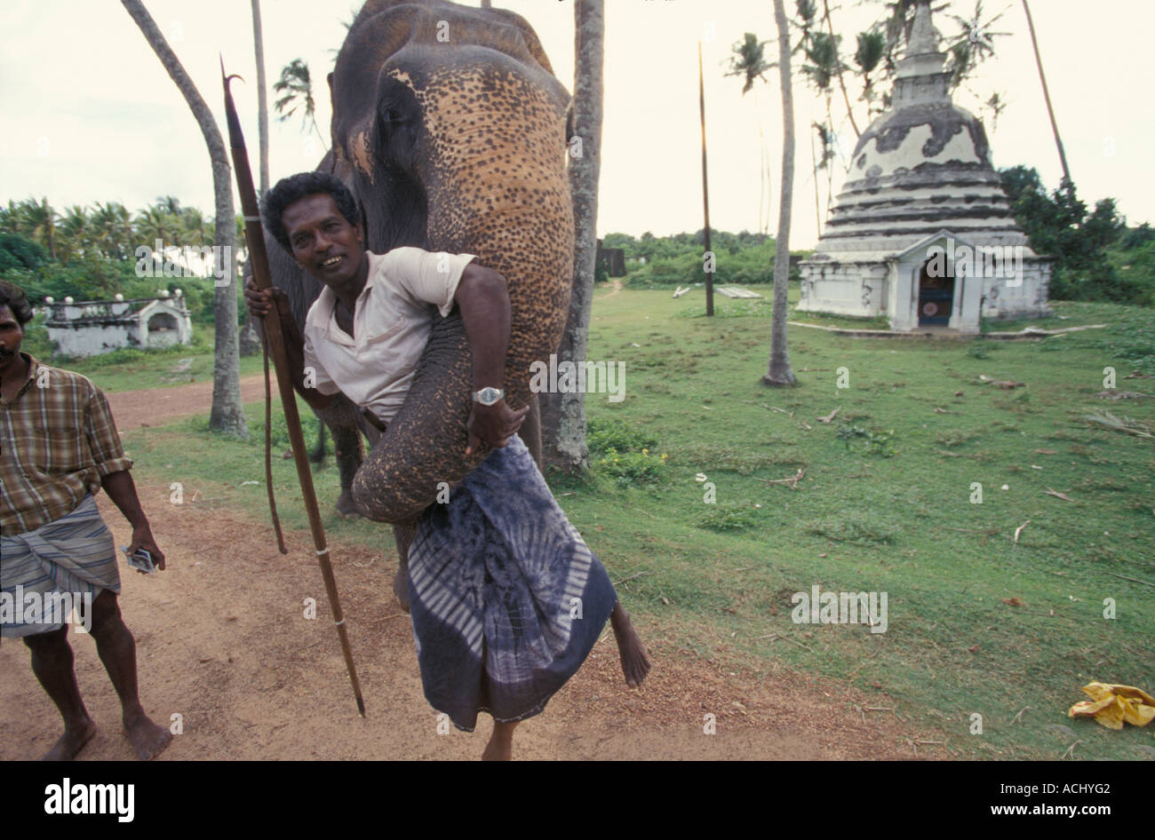 Sri Lanka Elefant Elefanten Maximus und Trainer entlang der Westküste in der Nähe der Hauptstadt Colombo Stockfoto