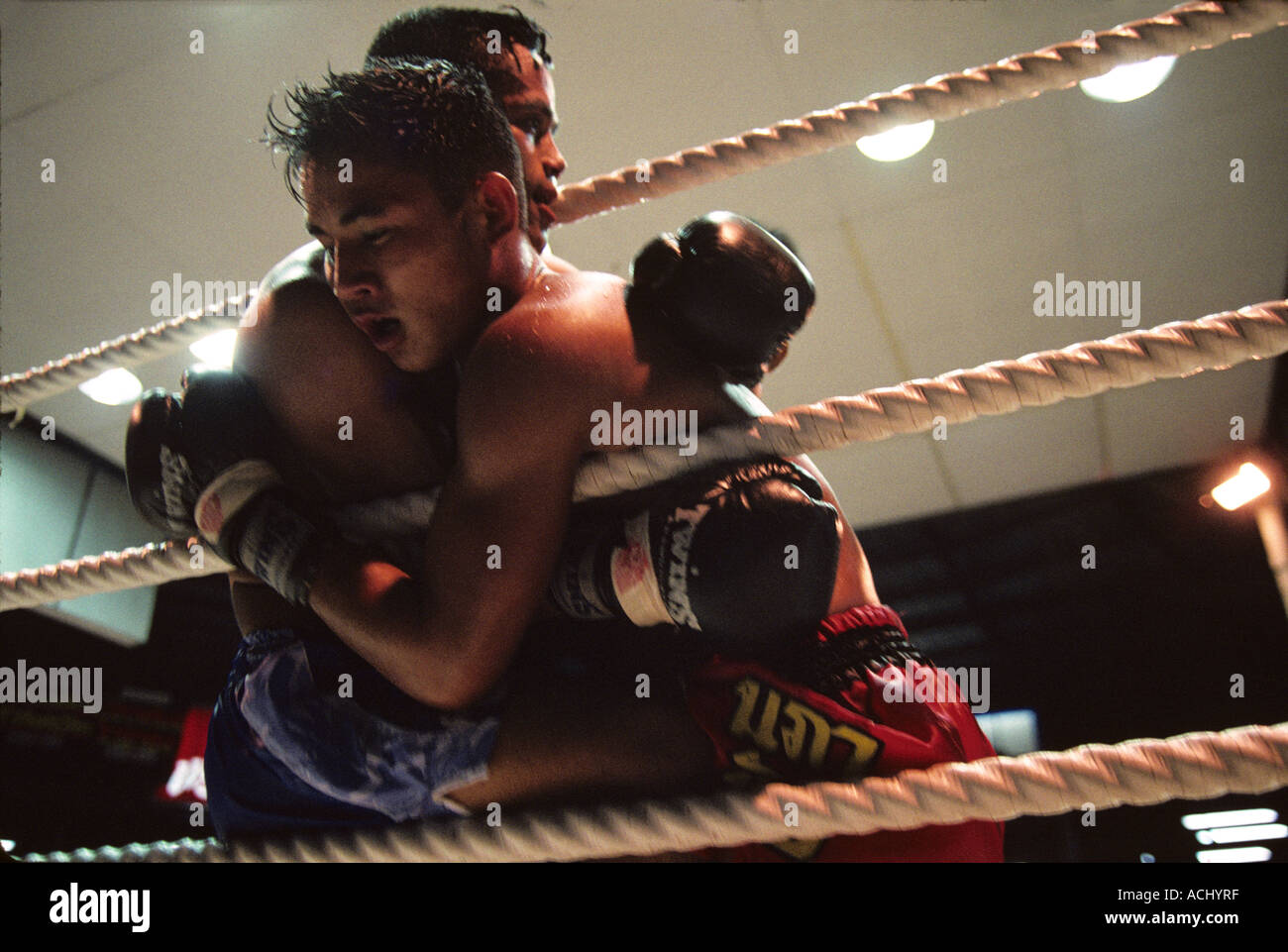 Thailand Bangkok Schweiß getränkt Kämpfer kämpfen gegen Seile Muay Thai Kickboxen Spiel Stockfoto