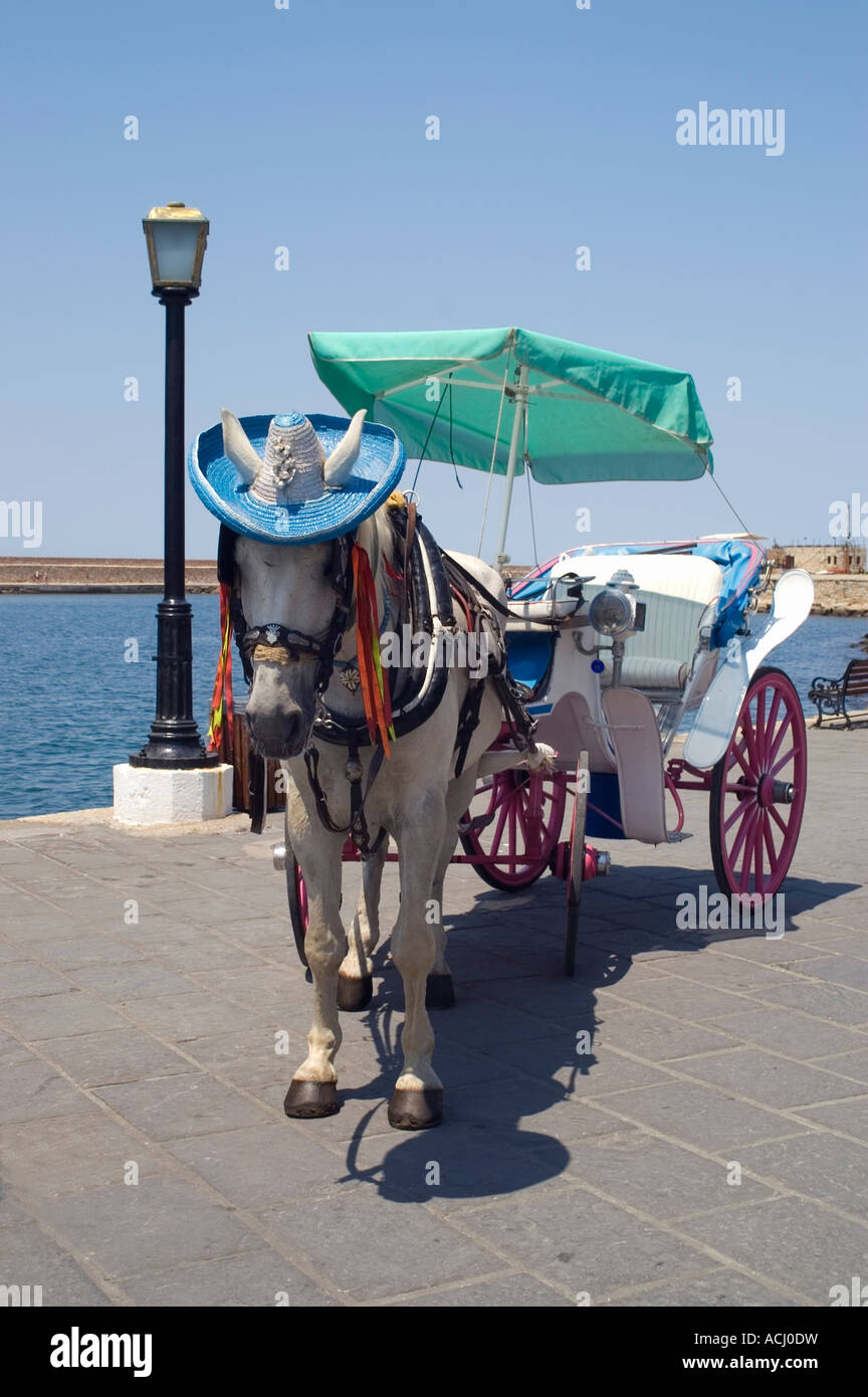 Pferd und Kutsche Hafen Chania Kreta Stockfoto